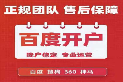 SEM竞价优化案例：品牌曝光与转化双提升